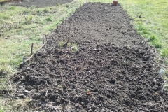 Apport de compost